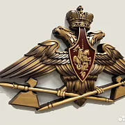 Резной герб МТО ВС РФ из бука — красивый подарок — фотография 2