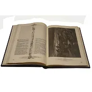 Библия в гравюрах Гюстава Доре — книга в кожаном переплёте — необычный подарок — фотография 2