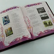 Книга "Серебряный Век Русской поэзии " — оригинальный подарок — фотография 3