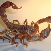 Скульптура «Скорпионы» из стекла — красивый подарок — фотография 1