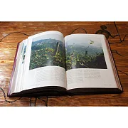 В подарок: Вино — набор с 2 бокалами — книга для мужчины — фотография 6